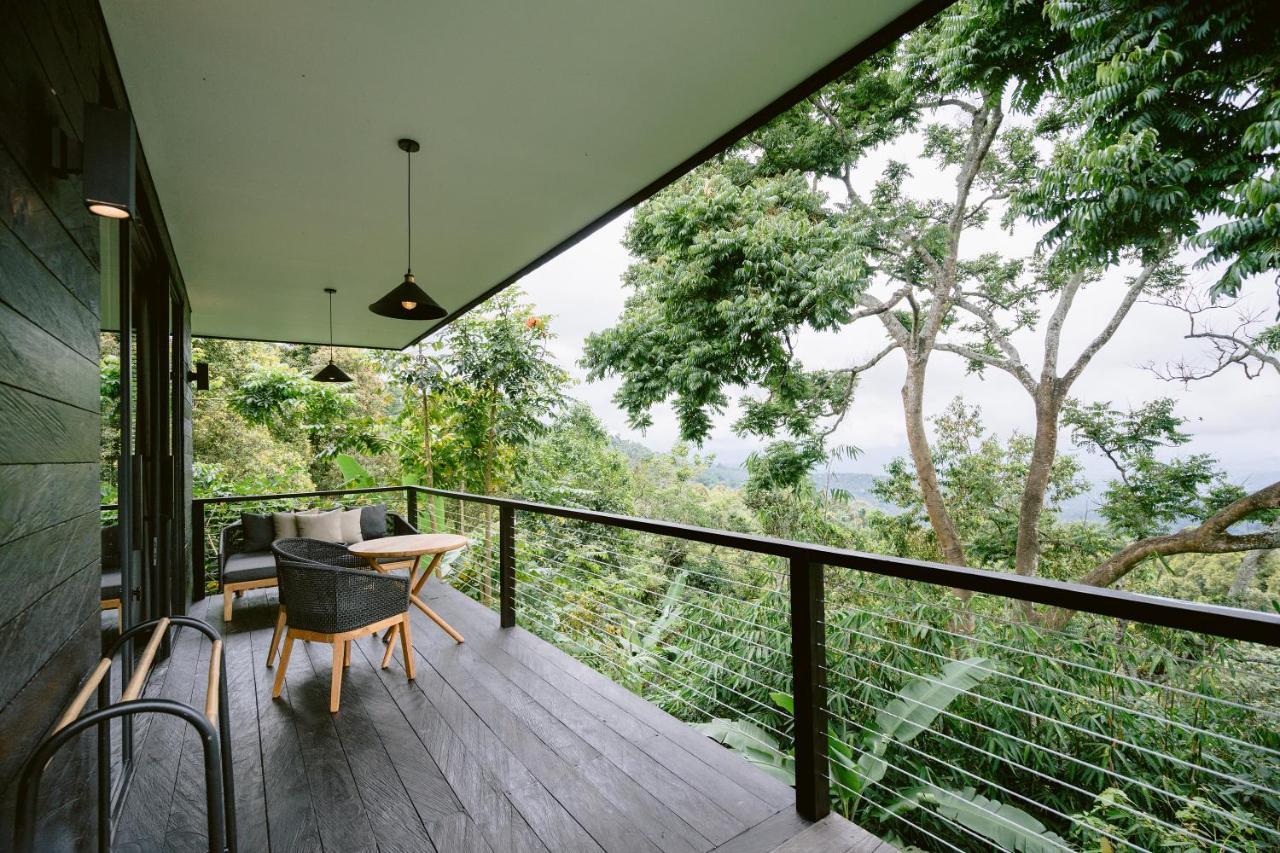 Chalet Studio Premium